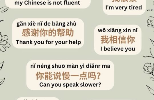 chinses chinses